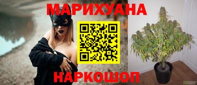 гидропоника Лесосибирск